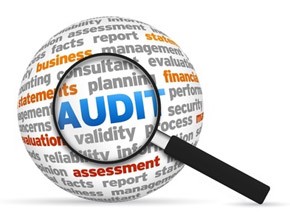 10 Skills For Succeeding in Audit